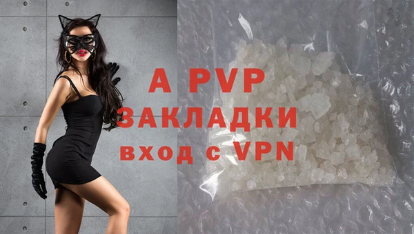 альфа пвп Медвежьегорск