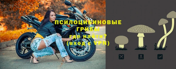 альфа пвп Медвежьегорск