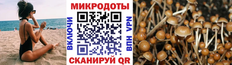 закладки  Ачхой-Мартан  Псилоцибиновые грибы MAGIC MUSHROOMS 